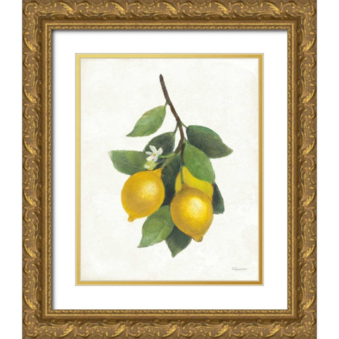 Lemon Branch III Gold Ornate Wood Framed Art Print with Double Matting by Hristova, Albena