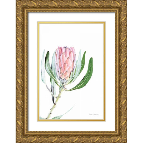 Dreamy Protea II Oasis Gold Ornate Wood Framed Art Print with Double Matting by Catterall, Elise