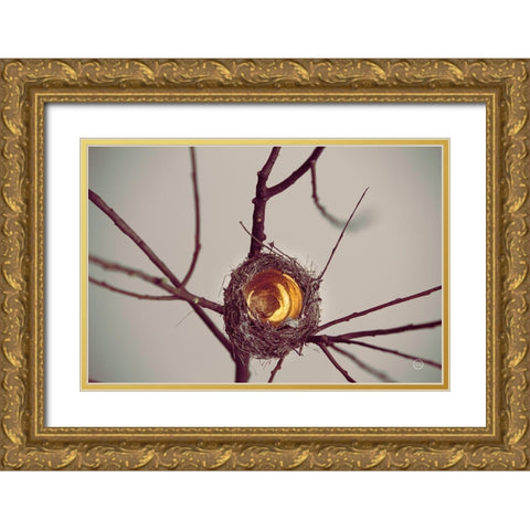 What is Golden Gold Ornate Wood Framed Art Print with Double Matting by Larson, Nathan