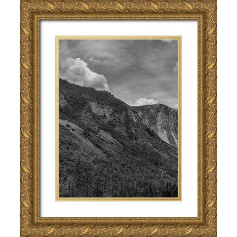 Scenic Landscape III BW Crop I Gold Ornate Wood Framed Art Print with Double Matting by Eichman, Andre