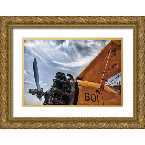 Aero Maquina Big Yellow Gold Ornate Wood Framed Art Print with Double Matting by Larson, Nathan