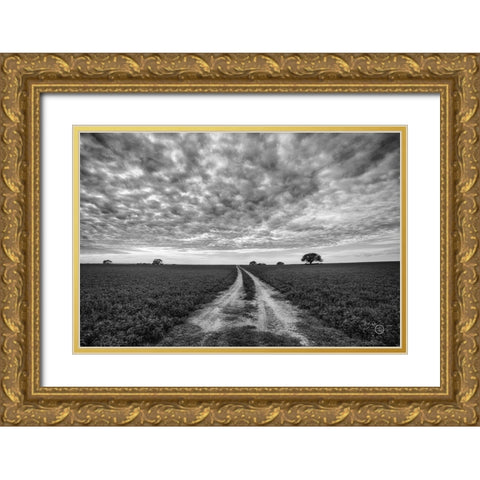 Farm Road Gold Ornate Wood Framed Art Print with Double Matting by Larson, Nathan