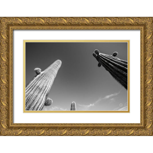 Perspective Image