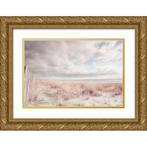 Atlantic Coast Afternoon Soft Gold Ornate Wood Framed Art Print with Double Matting by Larson, Nathan