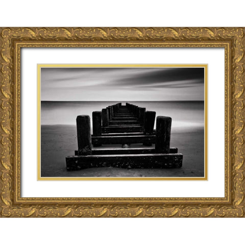 Coney Island Pier BW Gold Ornate Wood Framed Art Print with Double Matting by Gendreau, Katherine