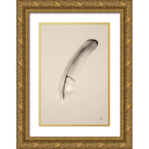 Floating Feathers III Sepia Gold Ornate Wood Framed Art Print with Double Matting by Larson, Nathan