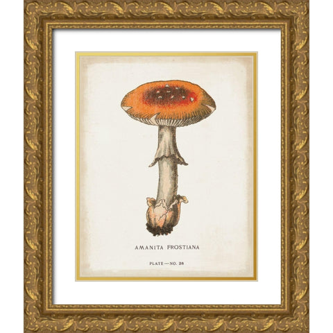 Mushroom Study III Gold Ornate Wood Framed Art Print with Double Matting by Wild Apple Portfolio