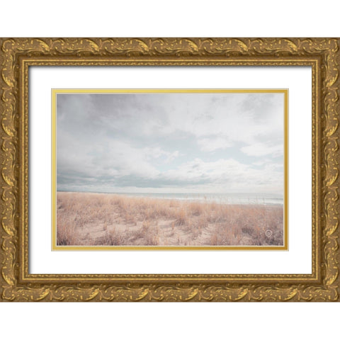 Deserted Sands Gold Ornate Wood Framed Art Print with Double Matting by Larson, Nathan