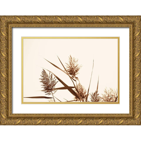 Country Grasses I Gold Ornate Wood Framed Art Print with Double Matting by Larson, Nathan