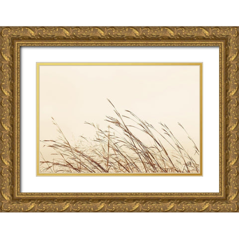 Country Grasses II Gold Ornate Wood Framed Art Print with Double Matting by Larson, Nathan