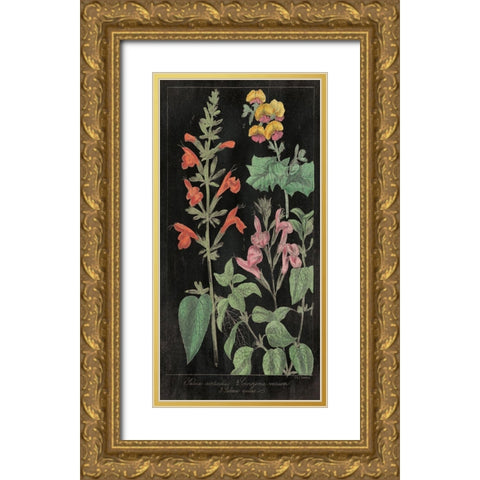 Salvia Florals I on Black Gold Ornate Wood Framed Art Print with Double Matting by Wild Apple Portfolio