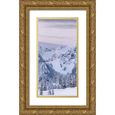 Tatoosh Range Triptych I Gold Ornate Wood Framed Art Print with Double Matting by Majchrowicz, Alan