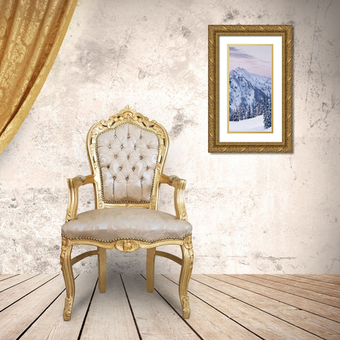 Tatoosh Range Triptych II Gold Ornate Wood Framed Art Print with Double Matting by Majchrowicz, Alan