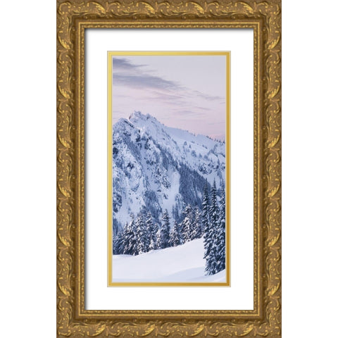 Tatoosh Range Triptych II Gold Ornate Wood Framed Art Print with Double Matting by Majchrowicz, Alan