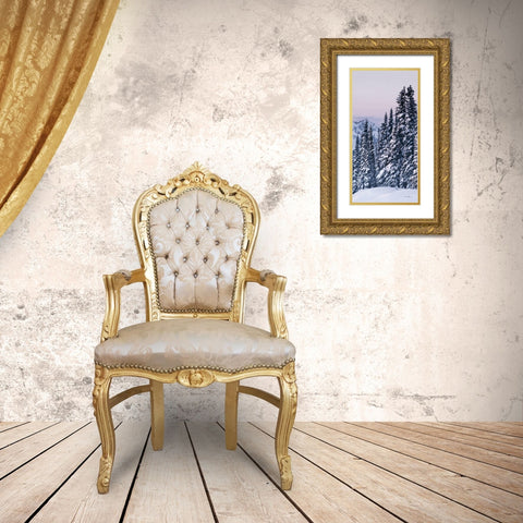 Tatoosh Range Panel III Gold Ornate Wood Framed Art Print with Double Matting by Majchrowicz, Alan