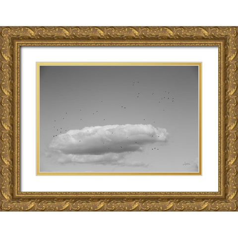 Flock in Flight Gold Ornate Wood Framed Art Print with Double Matting by Aledanda