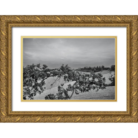 Villa View Gold Ornate Wood Framed Art Print with Double Matting by Aledanda