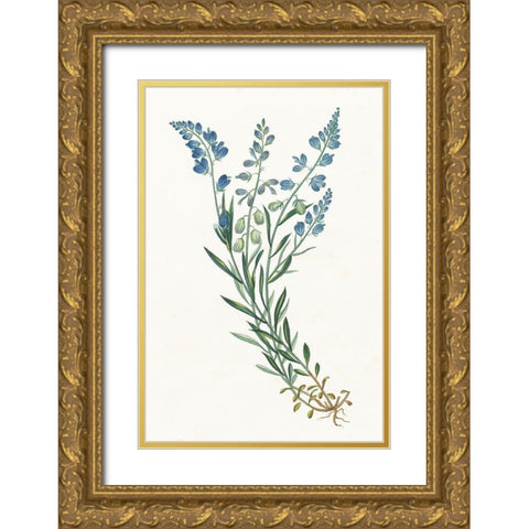 Polygala on White Gold Ornate Wood Framed Art Print with Double Matting by Wild Apple Portfolio