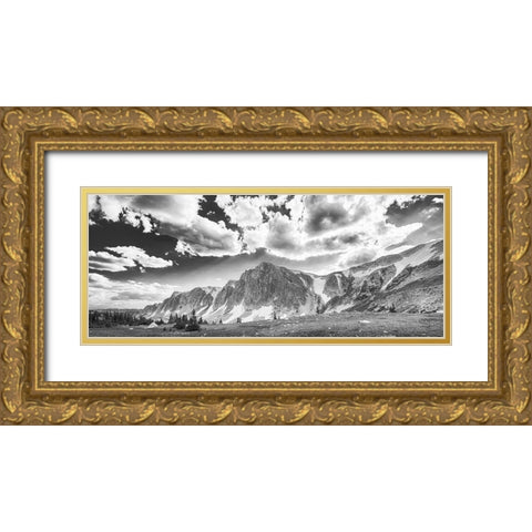 Wyoming Spring Gold Ornate Wood Framed Art Print with Double Matting by Larson, Nathan