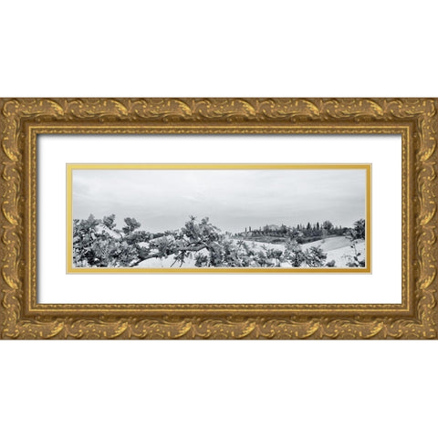 Villa View Light Crop Gold Ornate Wood Framed Art Print with Double Matting by Aledanda