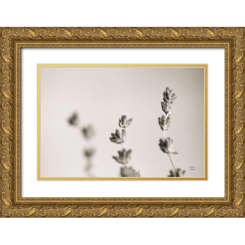 Lavender Study Gold Ornate Wood Framed Art Print with Double Matting by Larson, Nathan