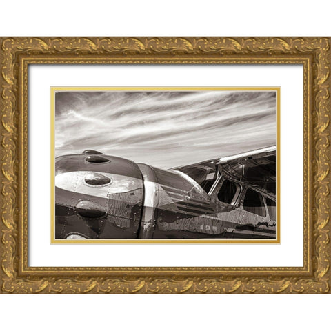 Aviator Gold Ornate Wood Framed Art Print with Double Matting by Larson, Nathan