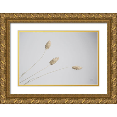 Grass Study Color Gold Ornate Wood Framed Art Print with Double Matting by Larson, Nathan