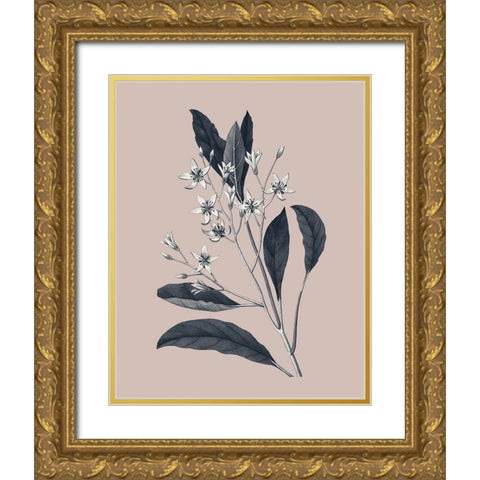 Botanical V on Pink Gold Ornate Wood Framed Art Print with Double Matting by Wild Apple Portfolio