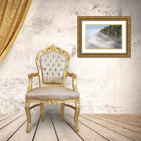 Fog and Forest I Gold Ornate Wood Framed Art Print with Double Matting by Majchrowicz, Alan
