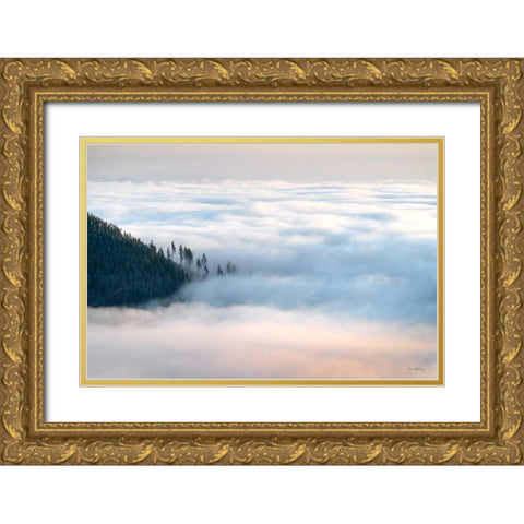 Fog and Forest III Gold Ornate Wood Framed Art Print with Double Matting by Majchrowicz, Alan