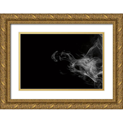 Smoke I Gold Ornate Wood Framed Art Print with Double Matting by Larson, Nathan