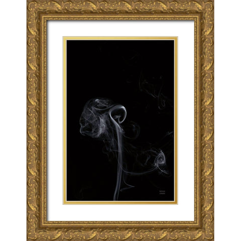 Smoke V Gold Ornate Wood Framed Art Print with Double Matting by Larson, Nathan
