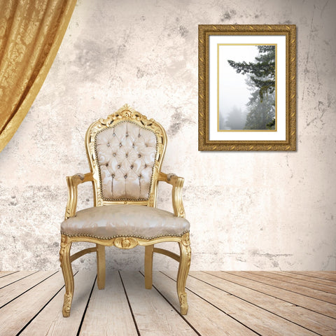 Majestic Pines II Gold Ornate Wood Framed Art Print with Double Matting by Van Swearingen, Debra