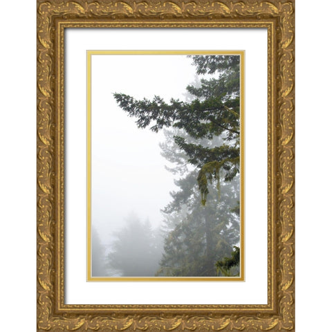 Majestic Pines II Gold Ornate Wood Framed Art Print with Double Matting by Van Swearingen, Debra