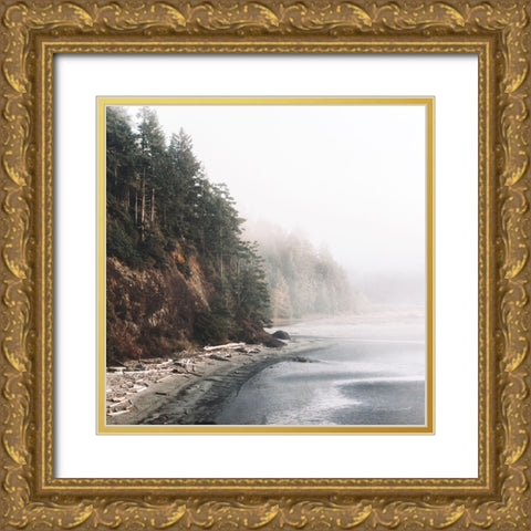 Salt Creek III Color Gold Ornate Wood Framed Art Print with Double Matting by Marshall, Laura