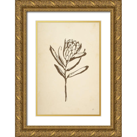 Vintage Line Protea I Gold Ornate Wood Framed Art Print with Double Matting by Paschke, Chris