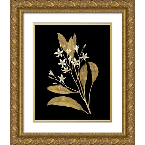 Gold Botanical V on Black Gold Ornate Wood Framed Art Print with Double Matting by Wild Apple Portfolio