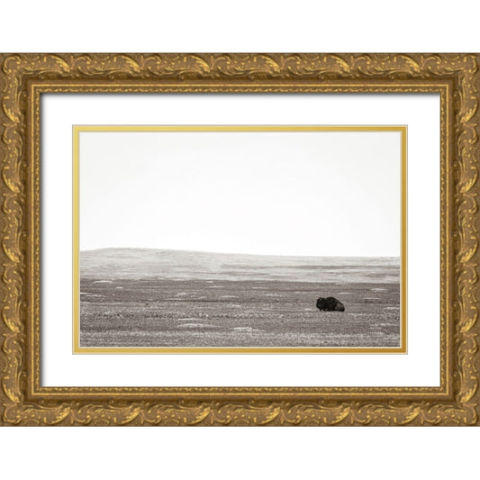 Perspective Image