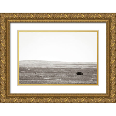 Badlands Guard Gold Ornate Wood Framed Art Print with Double Matting by Larson, Nathan