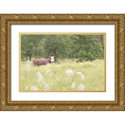 Summer Farm II Gold Ornate Wood Framed Art Print with Double Matting by Schlabach, Sue