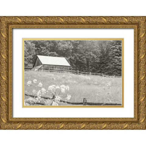 Summer Farm I BW Gold Ornate Wood Framed Art Print with Double Matting by Schlabach, Sue