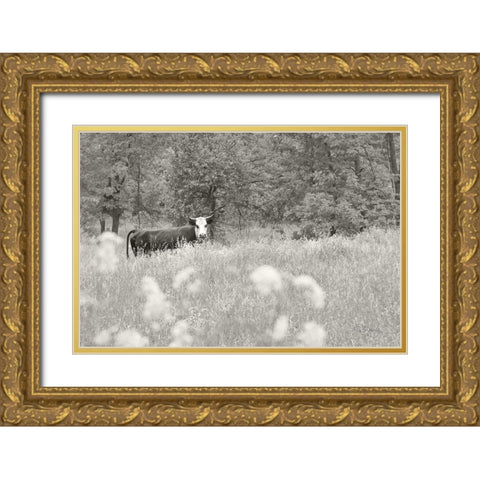 Summer Farm II BW Gold Ornate Wood Framed Art Print with Double Matting by Schlabach, Sue