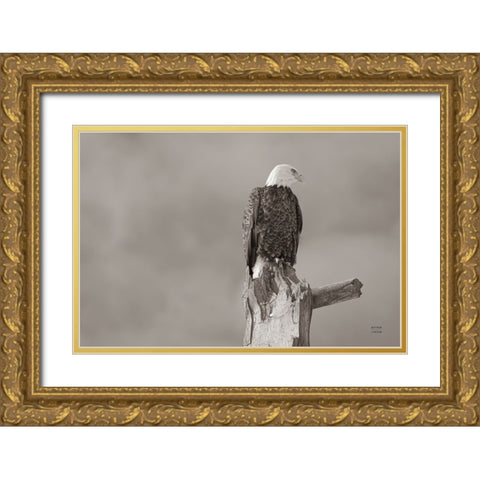 Eagle Perch Gold Ornate Wood Framed Art Print with Double Matting by Larson, Nathan