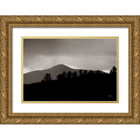 Storm Layers Gold Ornate Wood Framed Art Print with Double Matting by Larson, Nathan