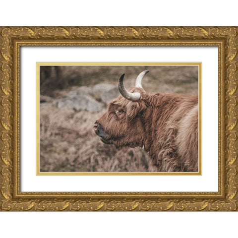 Highland Cow on Watch Faded Gold Ornate Wood Framed Art Print with Double Matting by Larson, Nathan