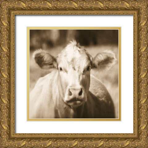Pasture Cow Sepia Sq Gold Ornate Wood Framed Art Print with Double Matting by Van Swearingen, Debra
