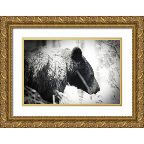 Bear Emerging Gold Ornate Wood Framed Art Print with Double Matting by Larson, Nathan