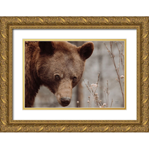 Bear Profile II Gold Ornate Wood Framed Art Print with Double Matting by Larson, Nathan