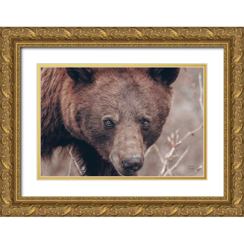 Bear Portrait Gold Ornate Wood Framed Art Print with Double Matting by Larson, Nathan