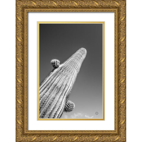 King I v2 Gold Ornate Wood Framed Art Print with Double Matting by Larson, Nathan